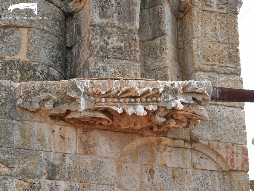 Las insólitas y exquisitas gárgolas del costado este de la Catedral de Salamanca