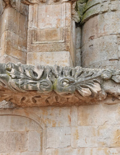 Gárgola de monstruo vegetal, con hojas y elementos decorativos de gran destreza escultórica, de la Catedral Nueva de Salamanca.