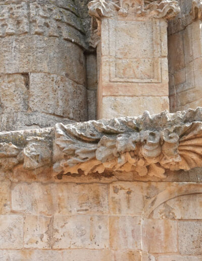 Gárgola de monstruo vegetal, que semeja al detallismo plateresco salmantino, de la Catedral Nueva de Salamanca.