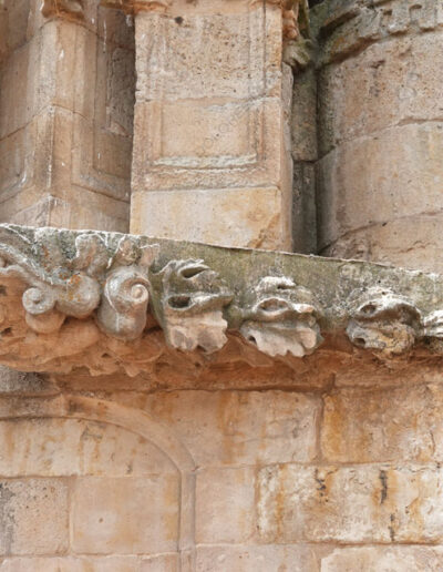 Gárgola de monstruo vegetal, escultura excepcional y detallista de la Catedral Nueva de Salamanca.