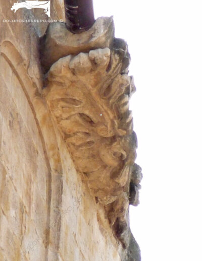 Gárgola de monstruo animal de la Catedral Nueva de Salamanca. Las hojas parecen formar un rostro tipo máscara.