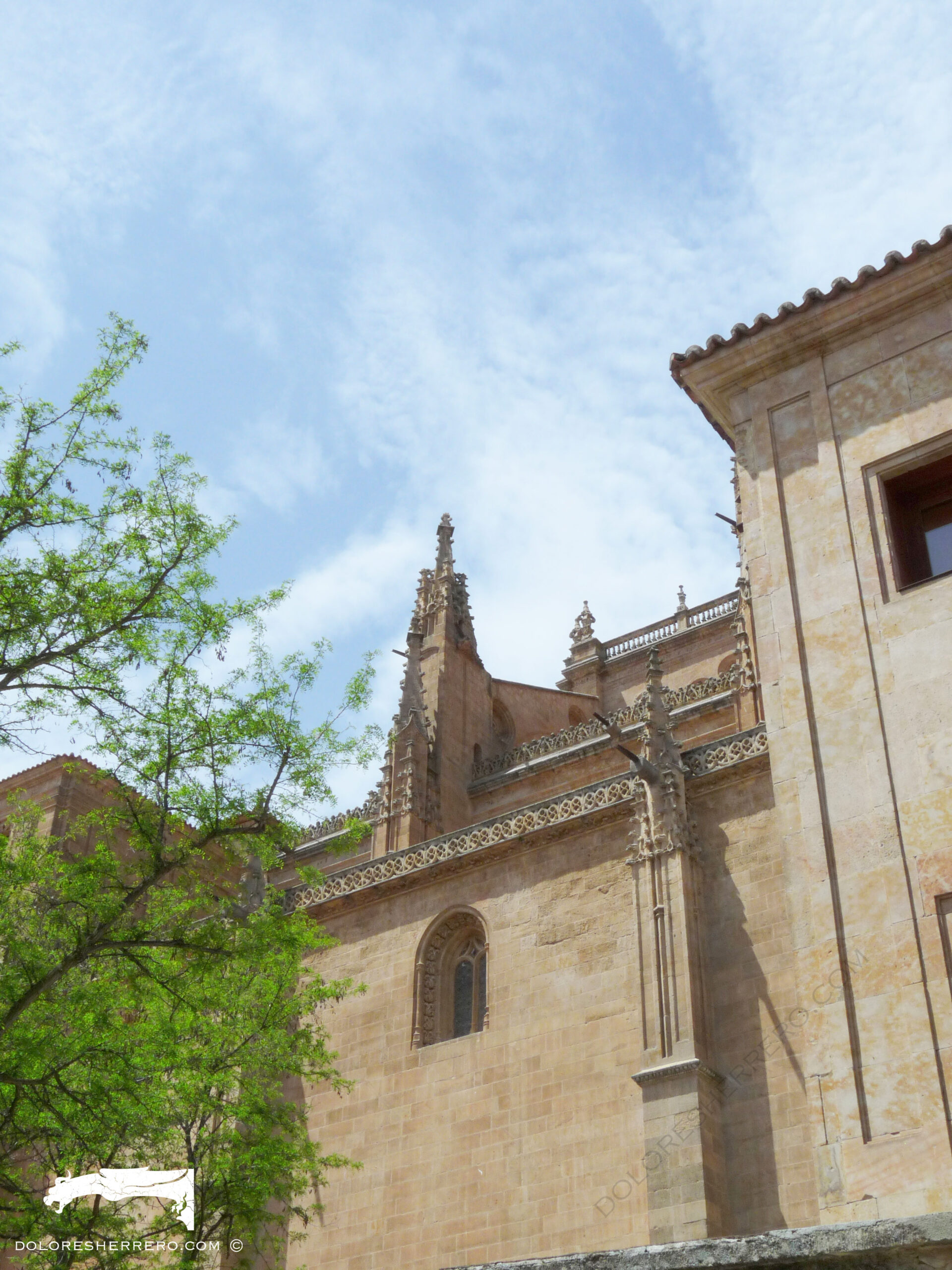 gárgolas de la catedral de Salamanca