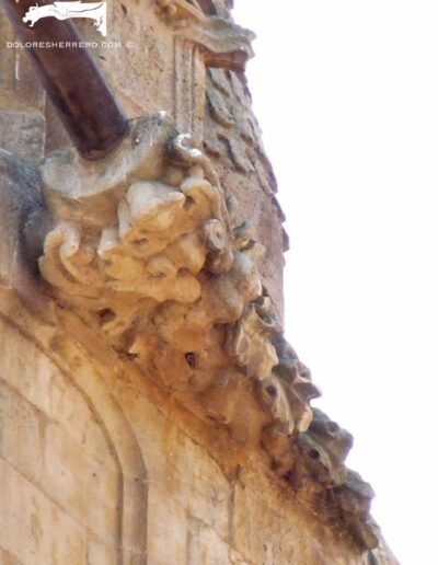 Gárgola de monstruo vegetal, con hojas a los lados que parecen cuernos, de la Catedral Nueva de Salamanca.