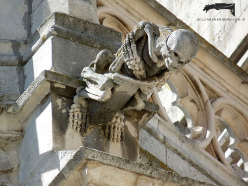 Gargoyle on Palencia Cathedral. A human skeleton.