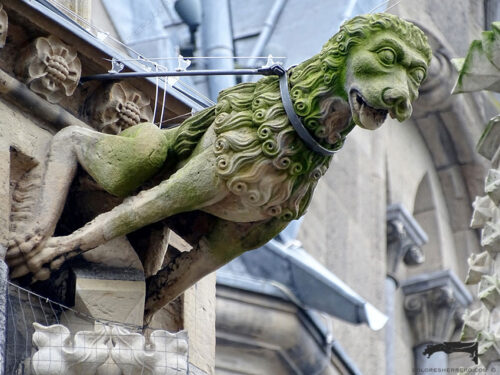 Gárgola de la Catedral de Aquisgrán (Alemania). Es un animal real: un león.