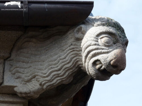 Gárgola de la Catedral de Ávila. Es un animal real: un león.