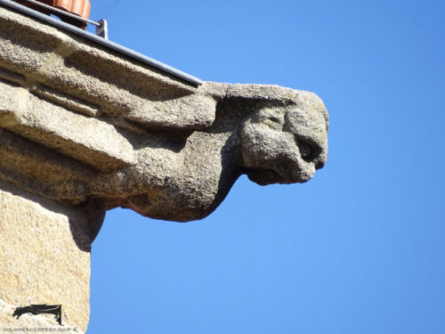 Gárgola de la Catedral de Orense. Es un animal mitológico: una harpía.