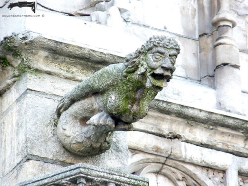 Gárgola del Ayuntamiento de Bruselas (Bélgica). Es un animal mitológico: una sirena.