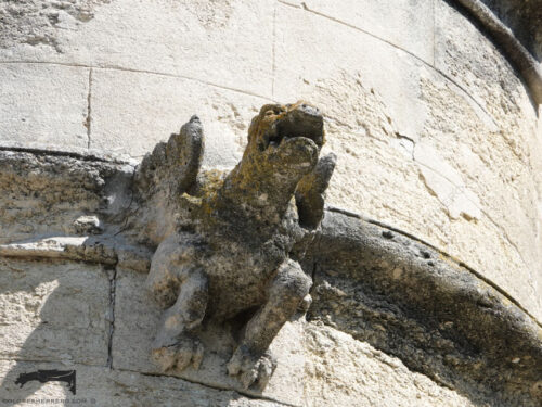 Gárgola del Museo del Pequeño Palacio de Avignon (Francia). Es un animal mitológico: un dragón.