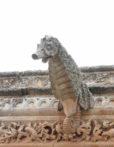Gárgola de animal real, un caballito de mar. Catedral Nueva de Salamanca.
