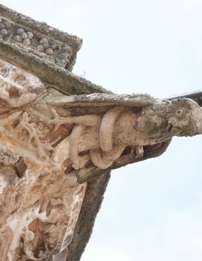 Gárgola de animal real, un águila culebrera o búho de la Catedral Nueva de Salamanca.