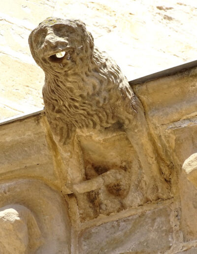 Gárgola de la Iglesia de Santa María la Mayor de Valderrobres (Teruel). Es un animal real: un león.