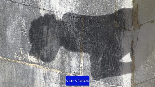 Descubriendo Gárgolas 1 Sombra de la una gárgola del Monasterio de Batalha.