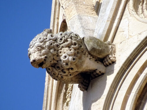 Gárgola de un león con muchos rizos y ojos con pupilas de la Catedral de Mallorca.