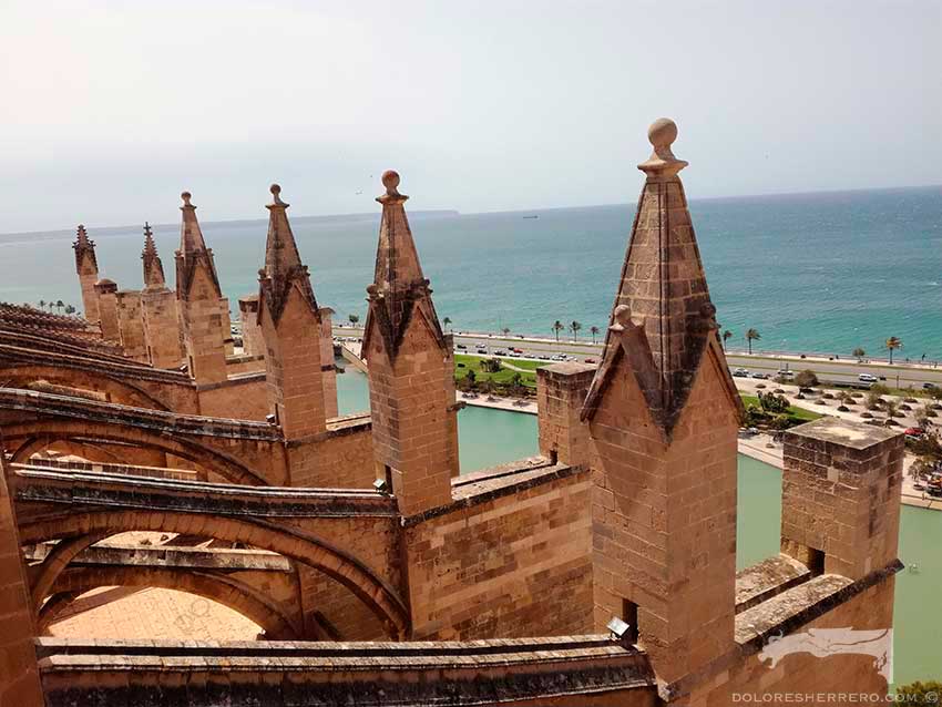 gárgolas catedral medieval