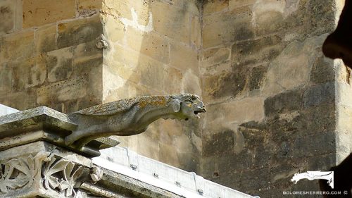 Gárgola de la Catedral de Bayonne (Francia). Es un monstruo animal.