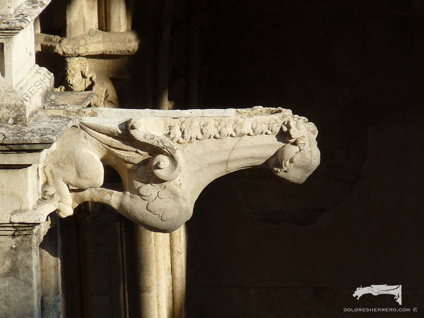 Demonios y monstruos en las gárgolas del Claustro de la Catedral de León