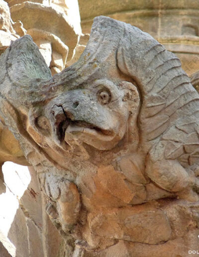 Gárgola de monstruo animal con aspecto de anfibio. Catedral Nueva de Salamanca.