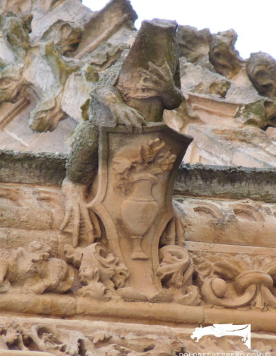 Real animal gargoyle, a loving frog. New Cathedral of Salamanca.