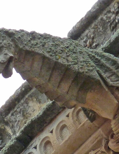 Gárgola de animal real, un caballito de mar. Catedral Nueva de Salamanca.