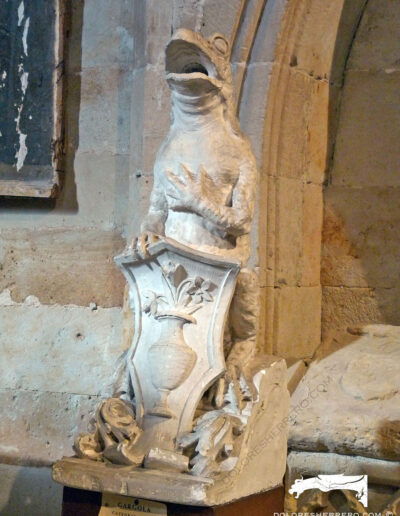 Gárgola de animal real, una rana amorosa. Reproducción de la original de la Catedral Nueva de Salamanca.