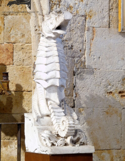 Gárgola de animal real, un caballito de mar. Reproducción de la original de la Catedral Nueva de Salamanca.