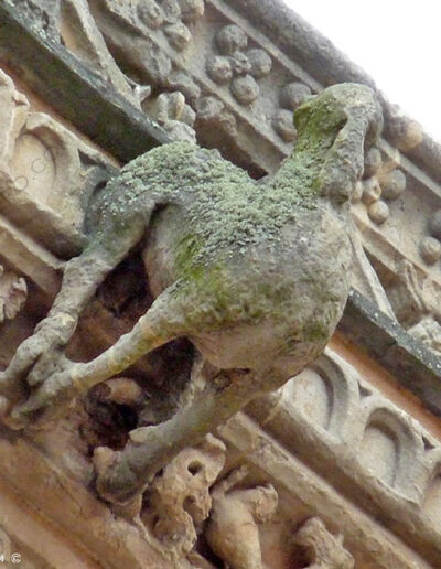 Gárgola de cuadrúpedo con colgajos. Catedral Nueva de Salamanca.