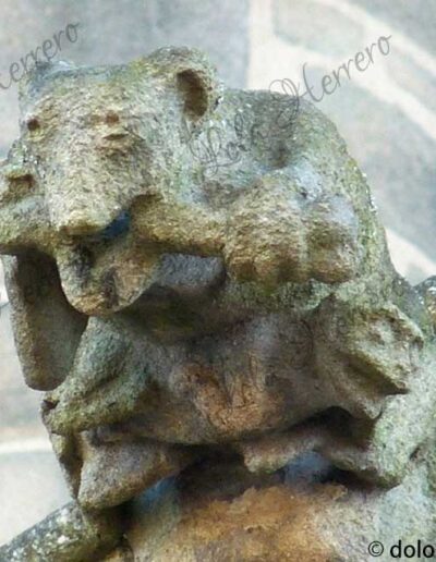 Gargoyle of the Cathedral of Limoges (France). It is a real animal: a bear with its cub.