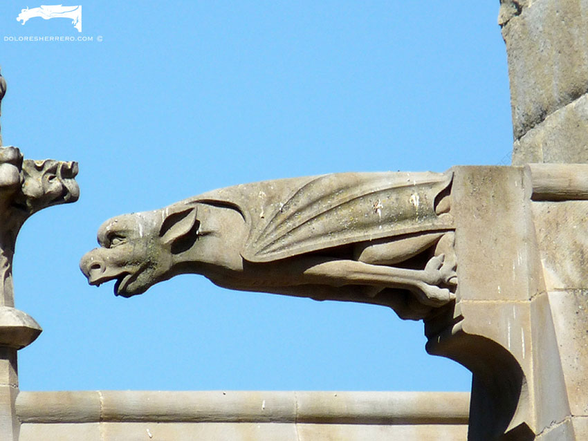 The Exuberant Beauty of Gargoyle Wings