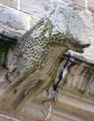Gárgola de la Iglesia de Nuestra Señora del Juncal en Irún. Es un animal real: un cordero.