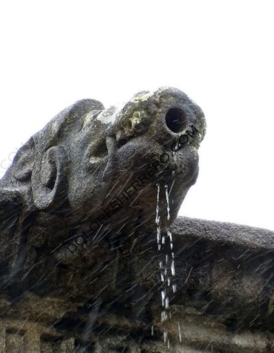 Demonic gargoyle from the Royal Hospital in Santiago de Compostela (Spain).