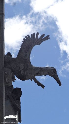 Gárgola de la Basílica del Voto Nacional de Quito (Ecuador). Es un albatros.