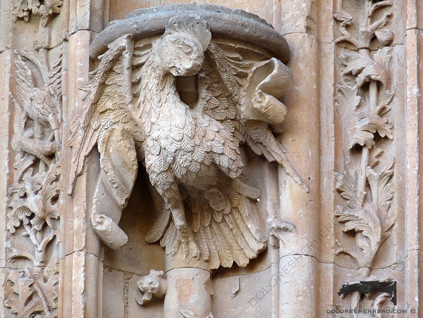 grotesco catedral Salamanca