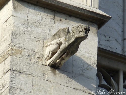 Gárgola Catedral Bruselas (Bélgica) (363)