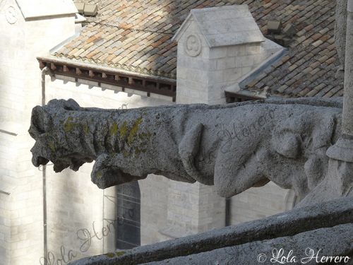 Gárgola Catedral Burgos (373)