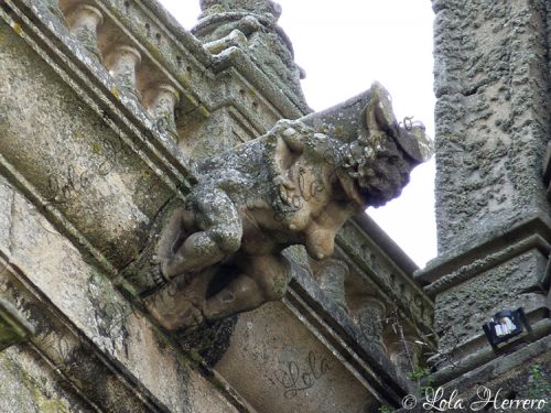 Gárgola Catedral Plasencia (405)