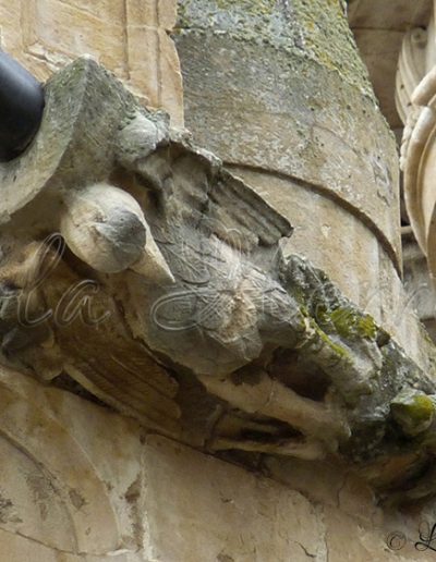 gargoyles art history