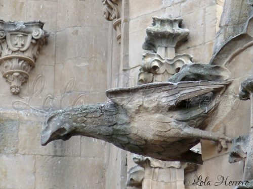 Gárgola Catedral Salamanca (316)