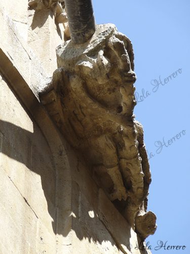 Gárgola Catedral Salamanca (343)