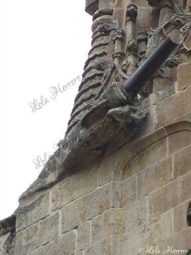 Gárgola Catedral Salamanca (365)