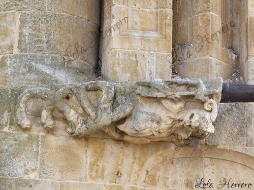 Gárgola Catedral Salamanca (374)