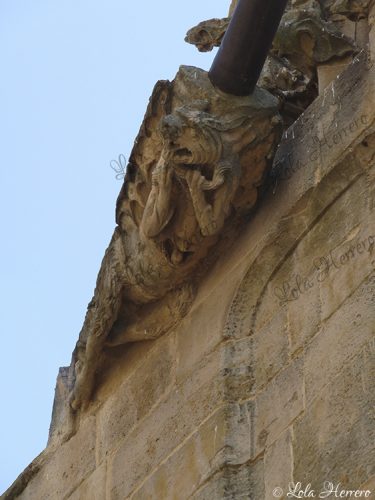 Gárgola Catedral Salamanca (378)