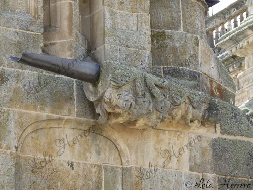 Gárgola Catedral Salamanca (379)