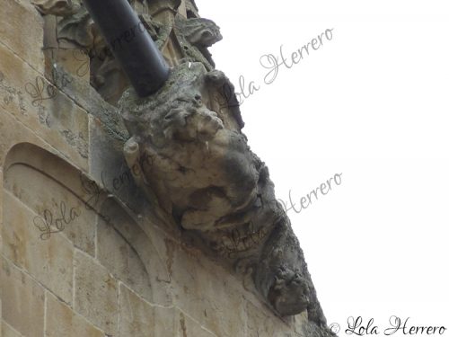 Gárgola Catedral Salamanca (380)