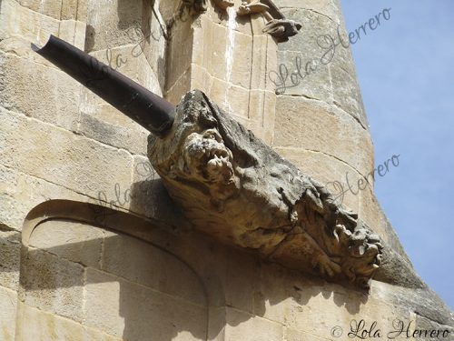 Gárgola Catedral Salamanca (383)