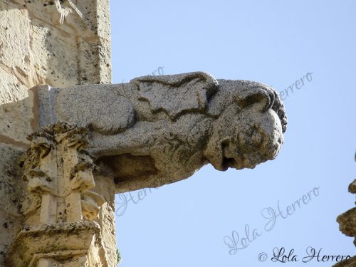 Gárgola Catedral Segovia (336)
