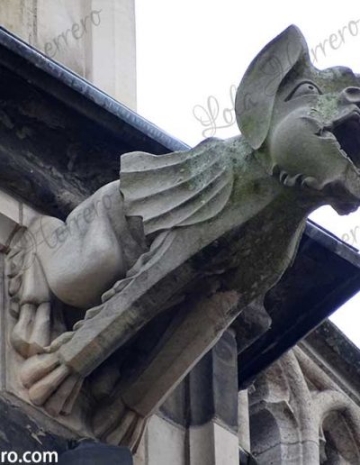 demonio alas murciélago