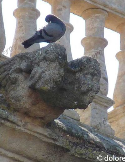 bicéfalo en gárgolas