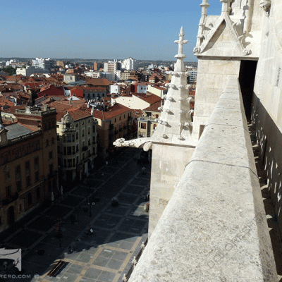 gargola catedral León