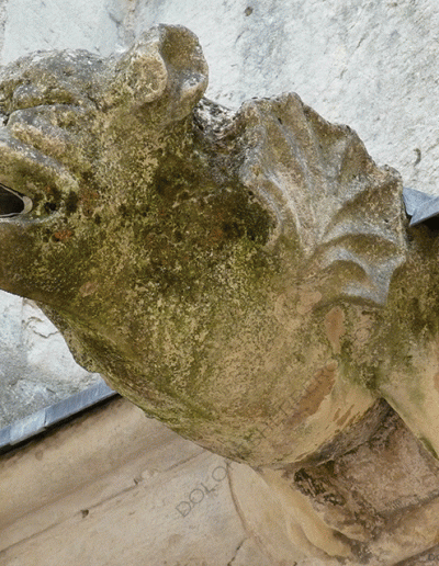 gargolas, iconografía, bestiario
